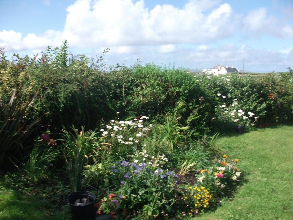 Fuchsia House Bed And Breakfast Connemara Renvyle Luaran gambar