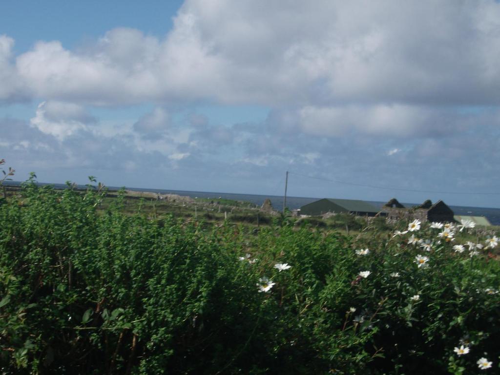 Fuchsia House Bed And Breakfast Connemara Renvyle Luaran gambar