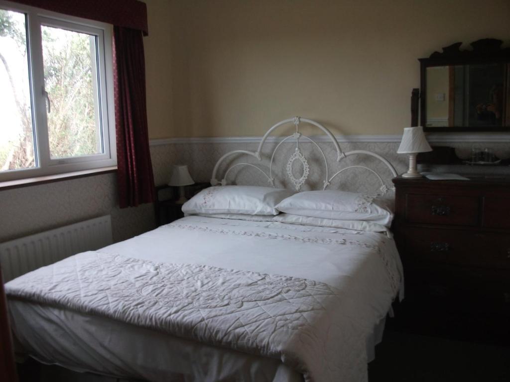 Fuchsia House Bed And Breakfast Connemara Renvyle Luaran gambar